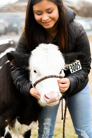 a young woman and a cow